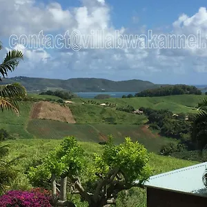 Bwa Kannel , Trinité (Tartane) Martinique