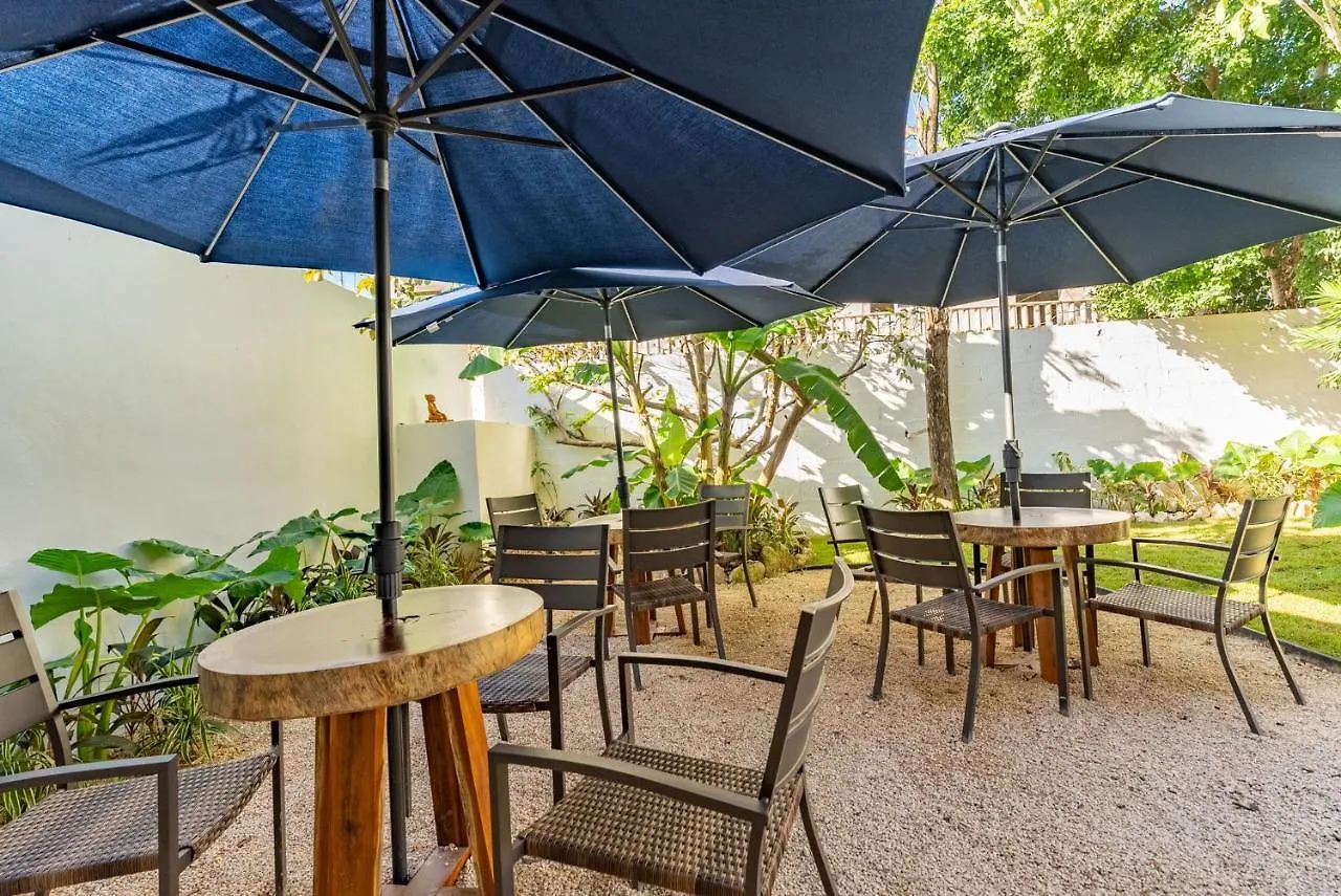 Artec Studios Tulum México
